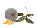 [FOR135] Xampú sòlid per evitar l'aparició de la caspa -  ÒNIX (70gr)